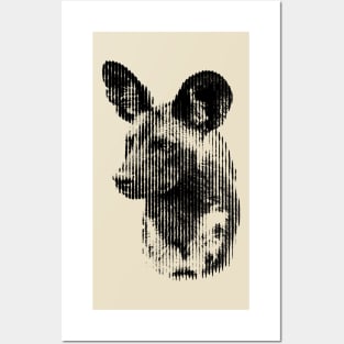 African Wild Dog in Striking Pattern of Black and White Vertical Stripes Posters and Art